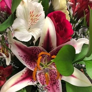 Meet your Posher, Donna